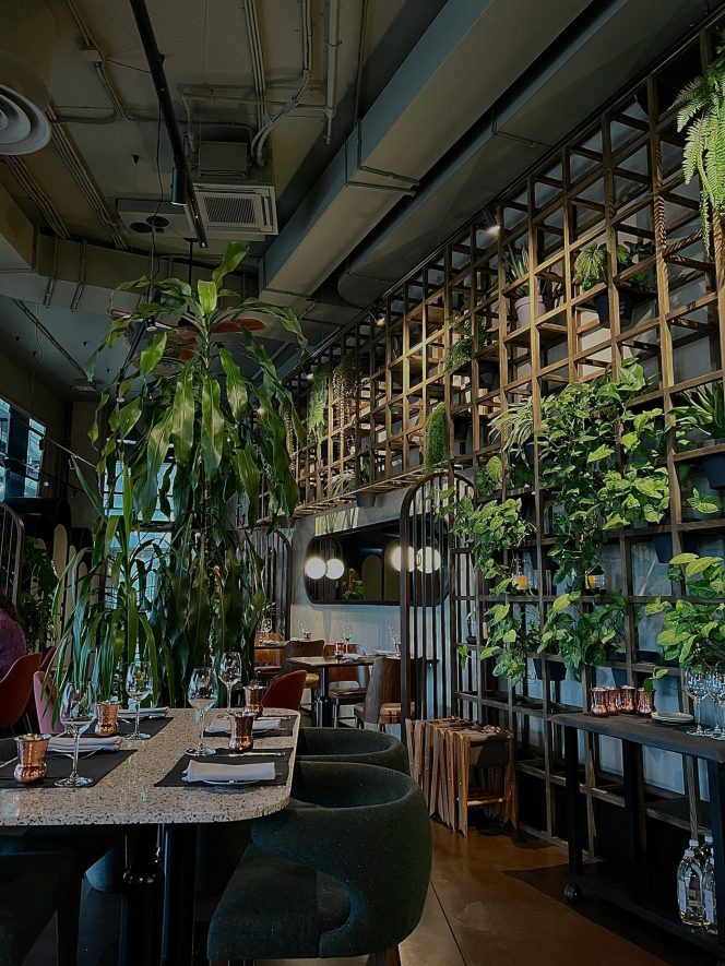 
 Transforming Small Yards into Outdoor Oases: Smart Layouts and Vertical Gardening Tips